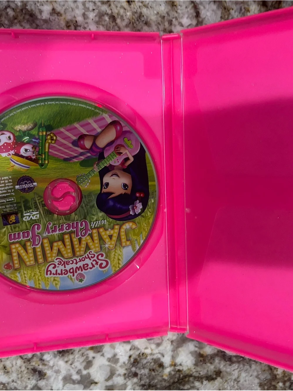 Jammin' Playset Case - Pink
